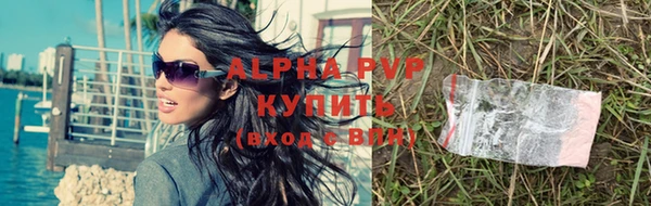 ПСИЛОЦИБИНОВЫЕ ГРИБЫ Богородицк