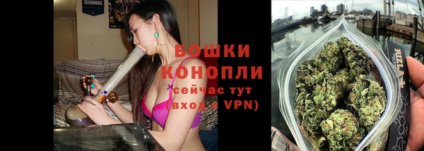 эйфоретик Богданович