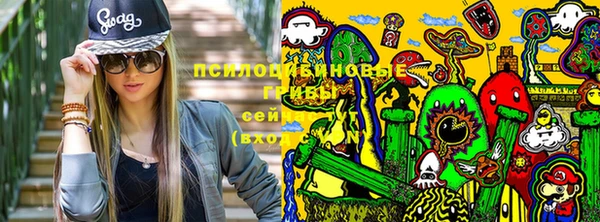 метадон Беломорск