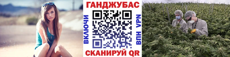 omg сайт  Волгореченск  Каннабис план  цена наркотик 